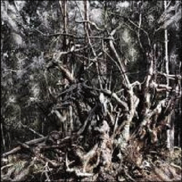 Folge Dem Wind : Hail the Pagan Age